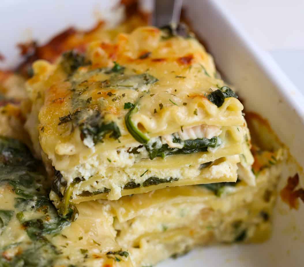 Chicken Lasagna | Small